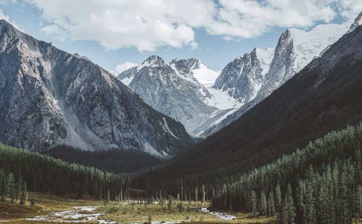 葡萄牙永居移民中介